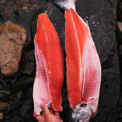 WHOLE SALMON (with head) 6-7kgs