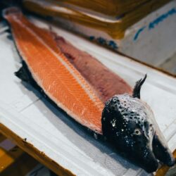 WHOLE SALMON (with head)  7-8kgs